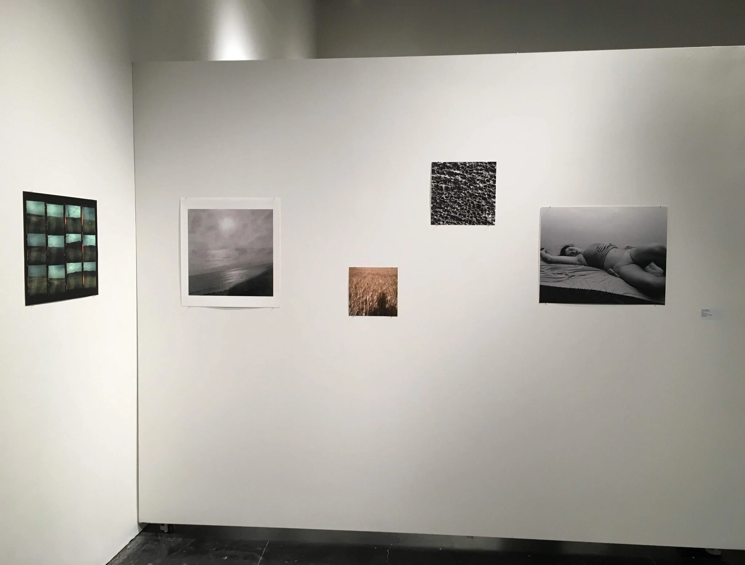 All College Honors Undergraduate Exhibition