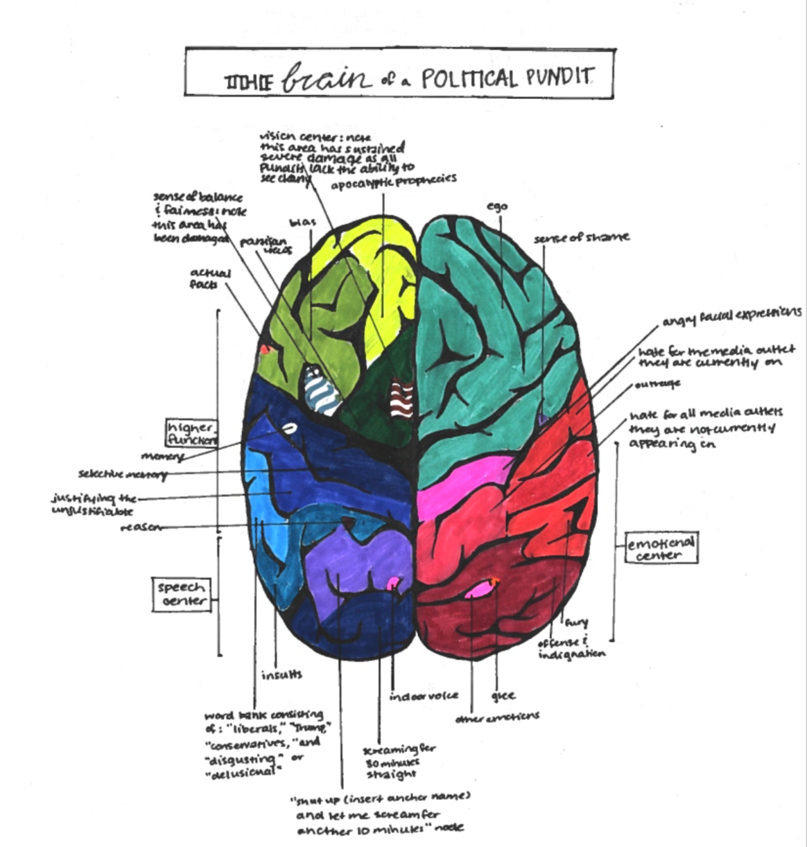 Diagram of the Brain of a Political Pundit
