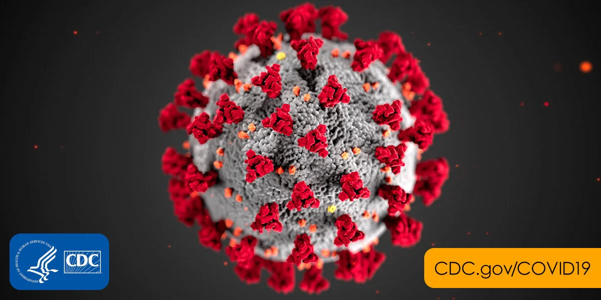 A Brief Overview of the Coronavirus