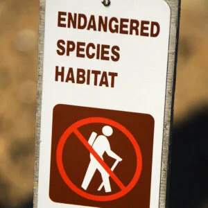 Trump’s Rollbacks on the Endangered Species Act of 1973