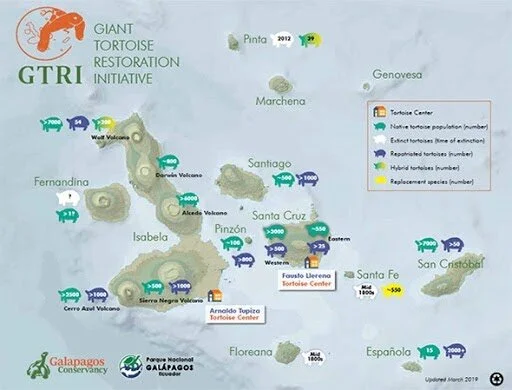 Tortoise Map Galapagos Islands: Giant Tortoise Restoration Initiative — The Catalyst ...
