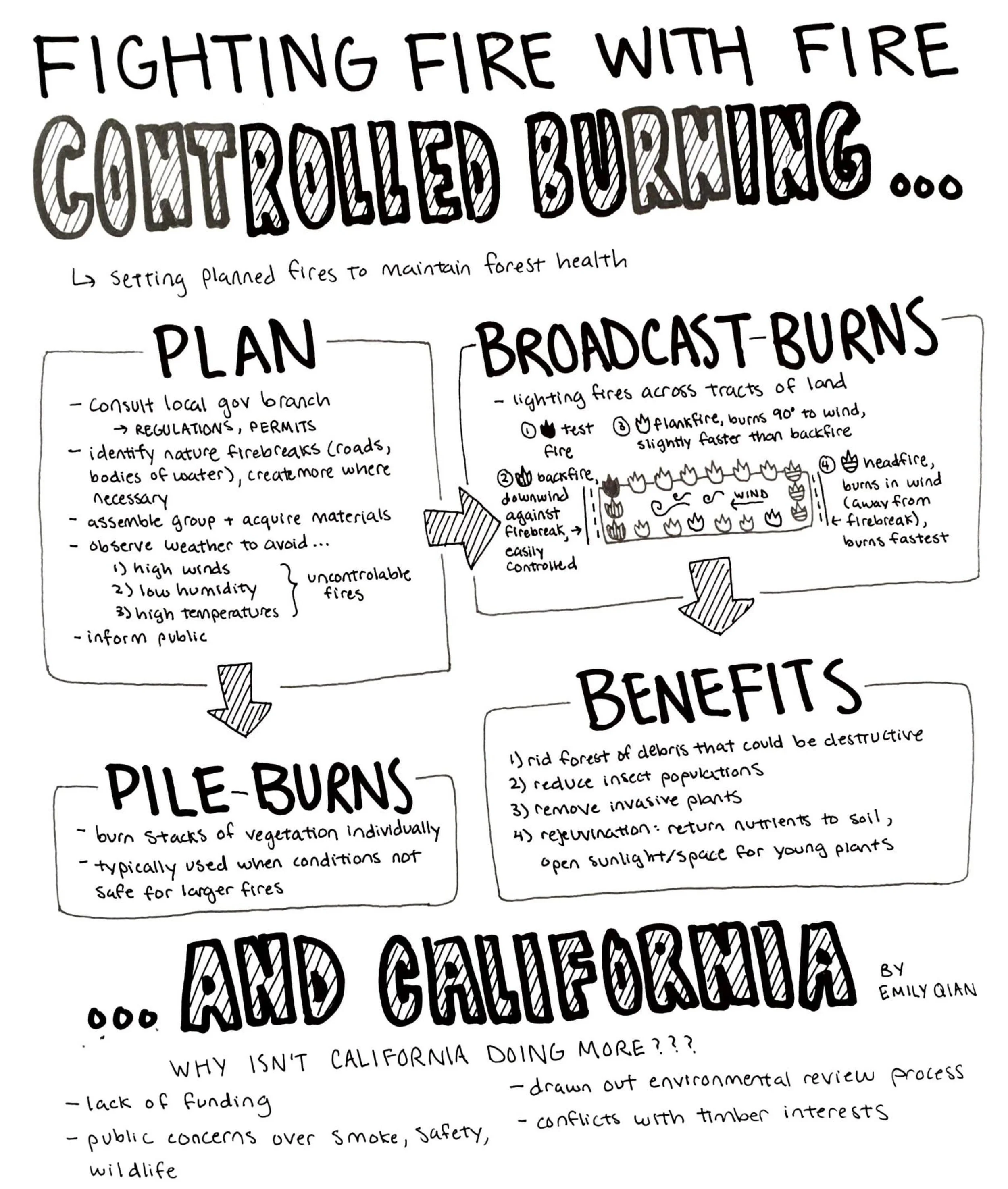 Fighting Fire With Fire Controlled Burning