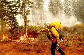 Causes of the 2020 West Coast Wildfires