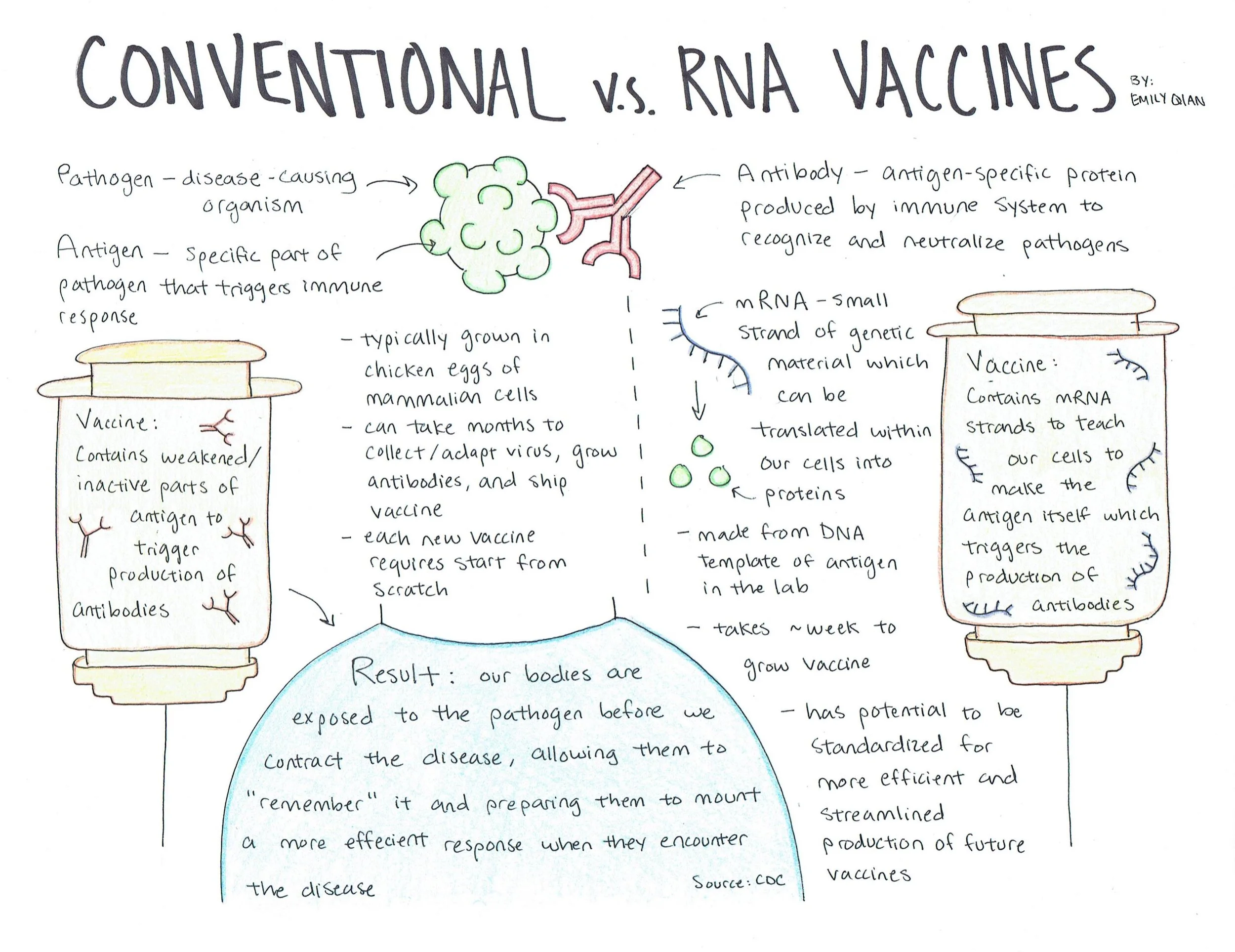 Conventional vs mRNA