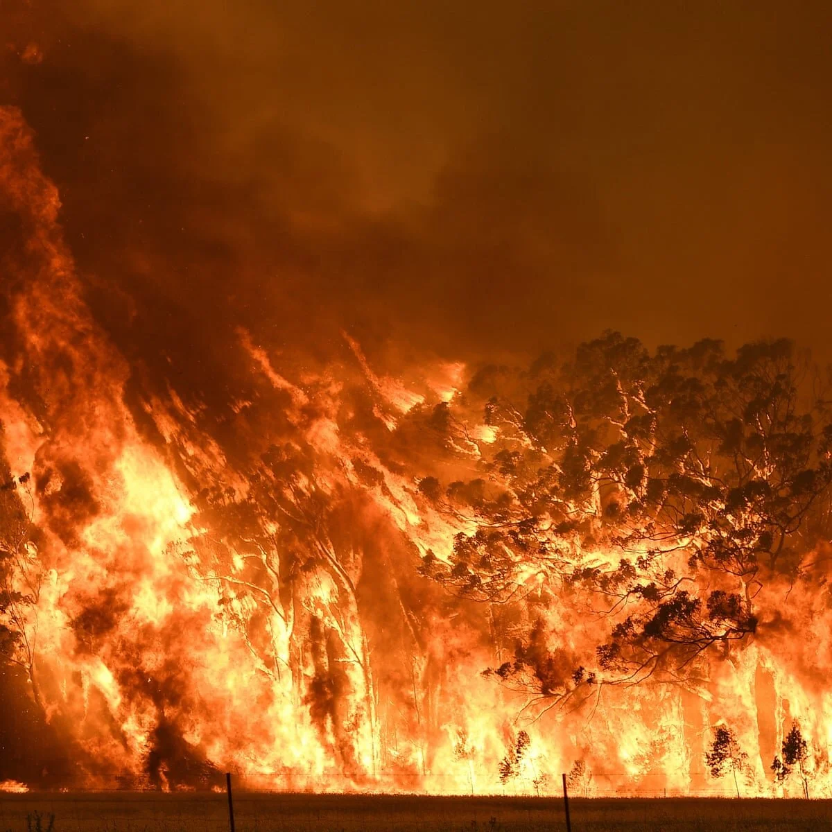 2020: Another Year on Our Warming Planet