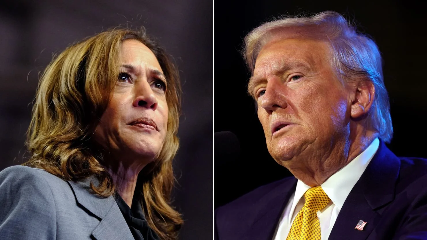 Viral Trends on Social Media: the Trump and Harris Campaigns