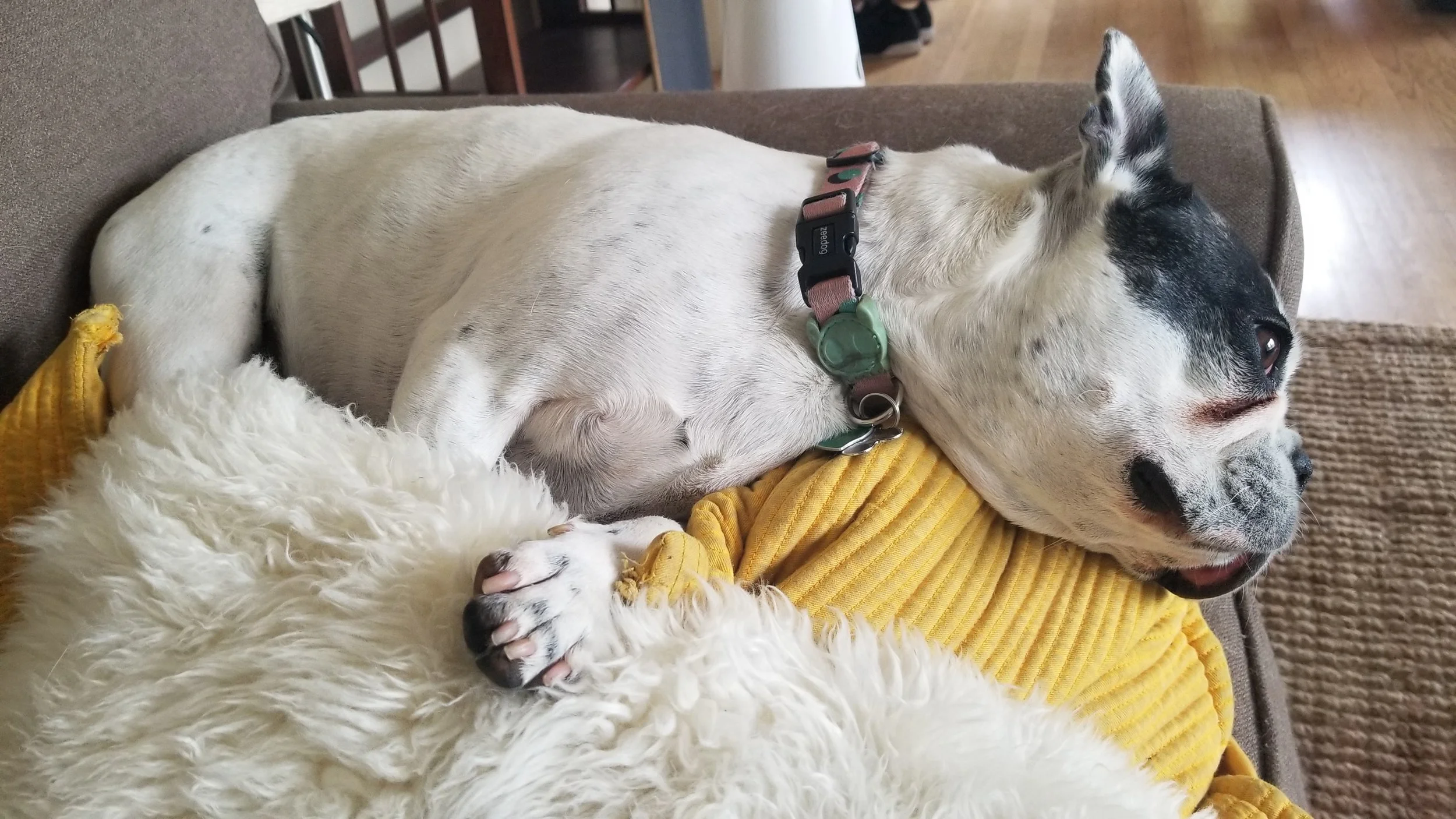 20190406_140245.jpg