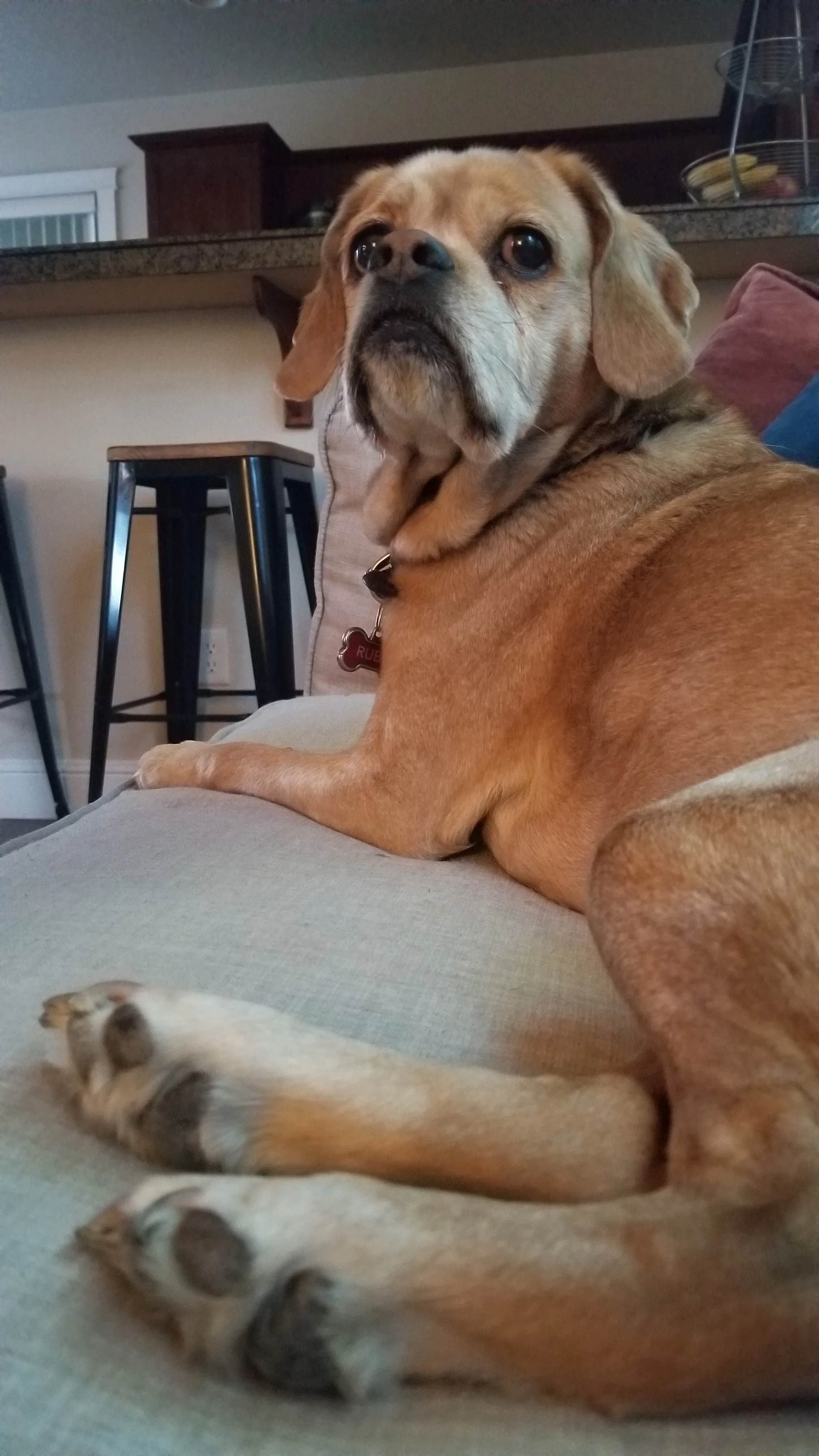 20190427_190838.jpg