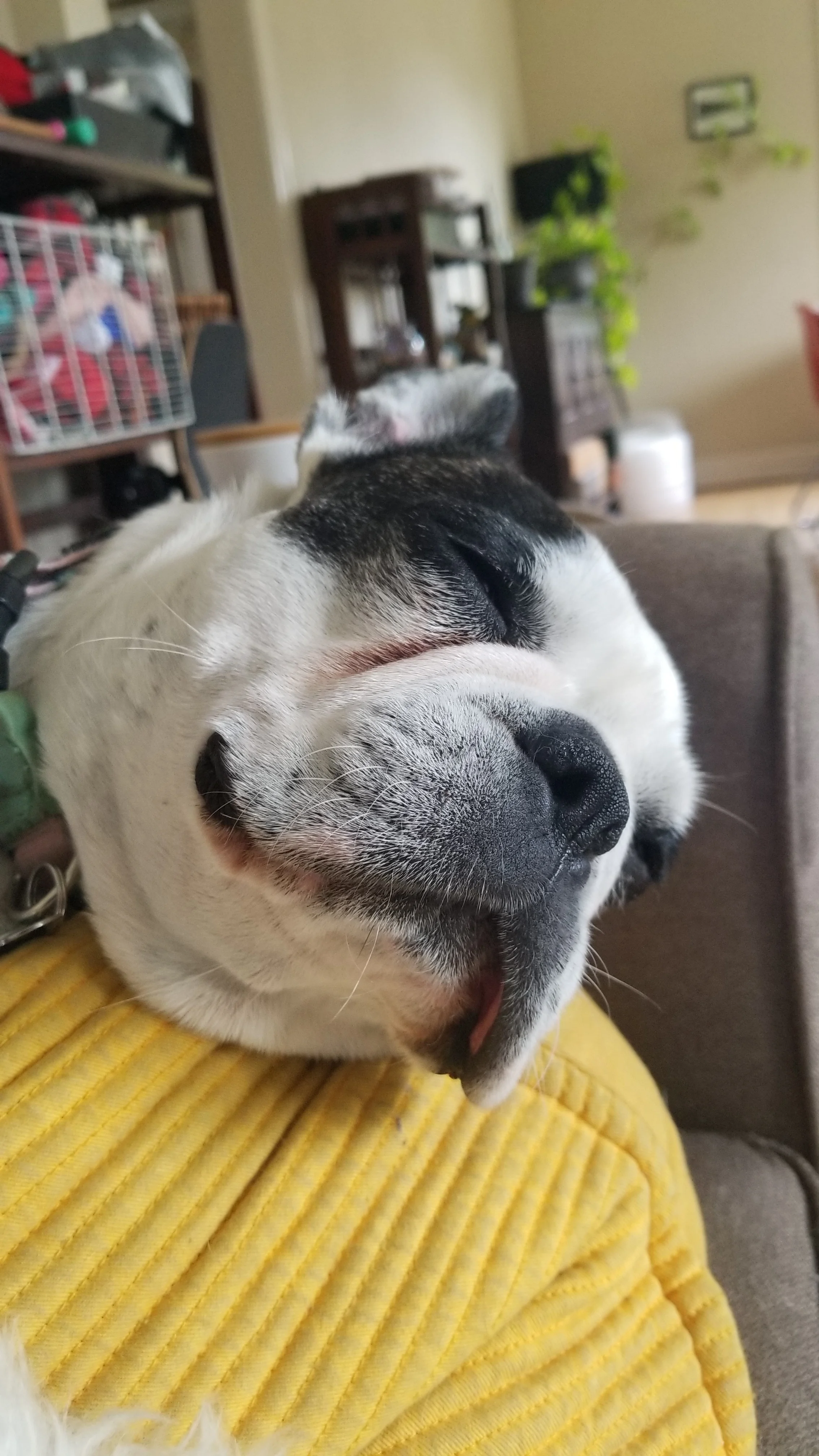 20190406_140235.jpg