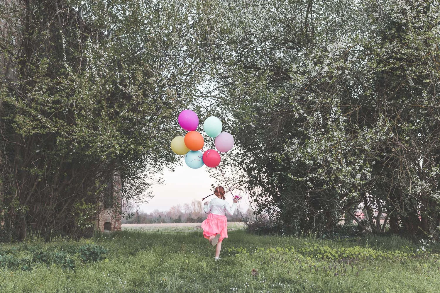 Early Spring, con Suana e le sue ragazze