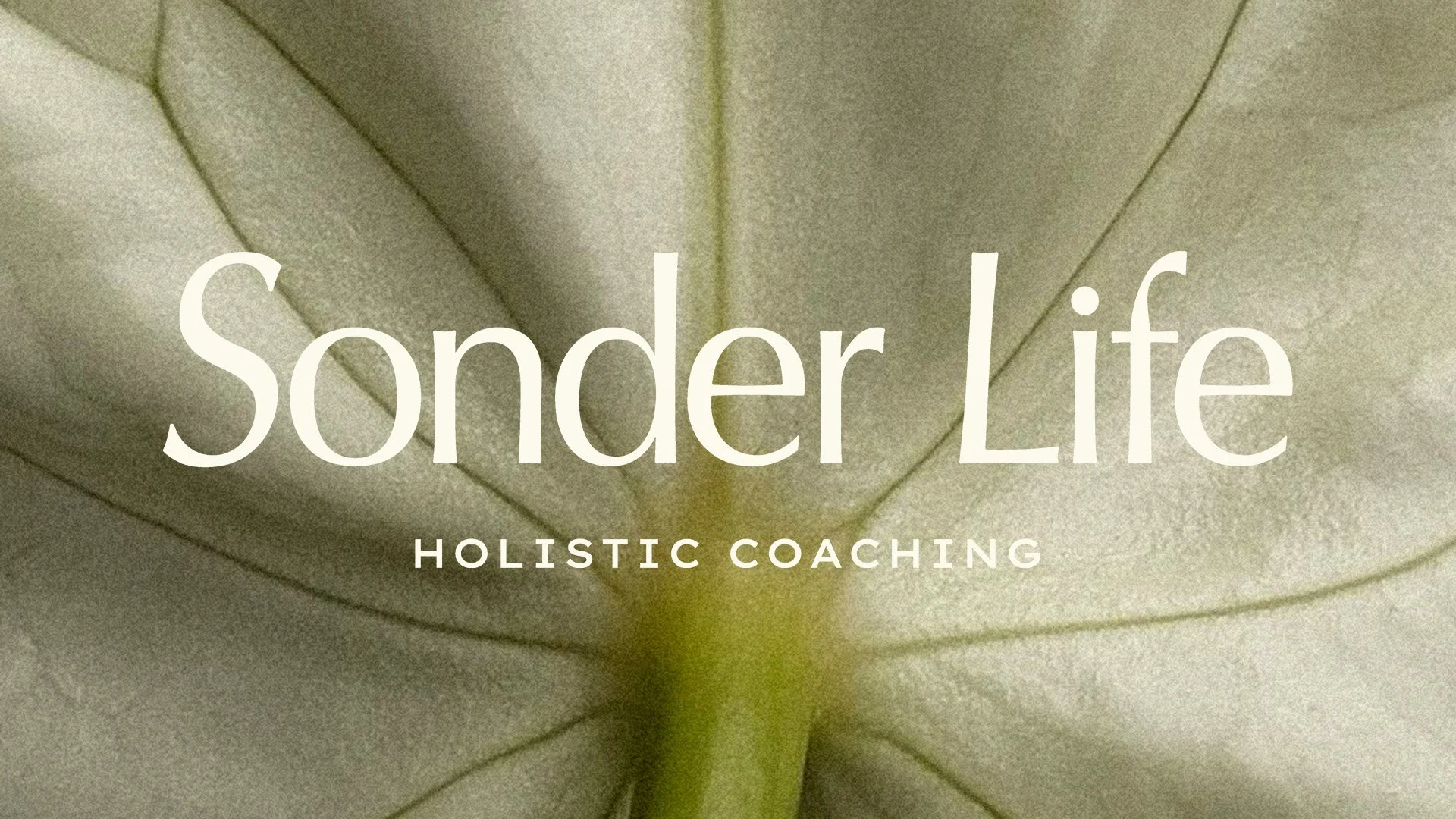 portfolio main image HOR.jpg