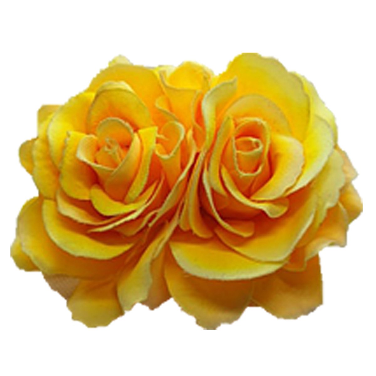 Yellow Rose Duo