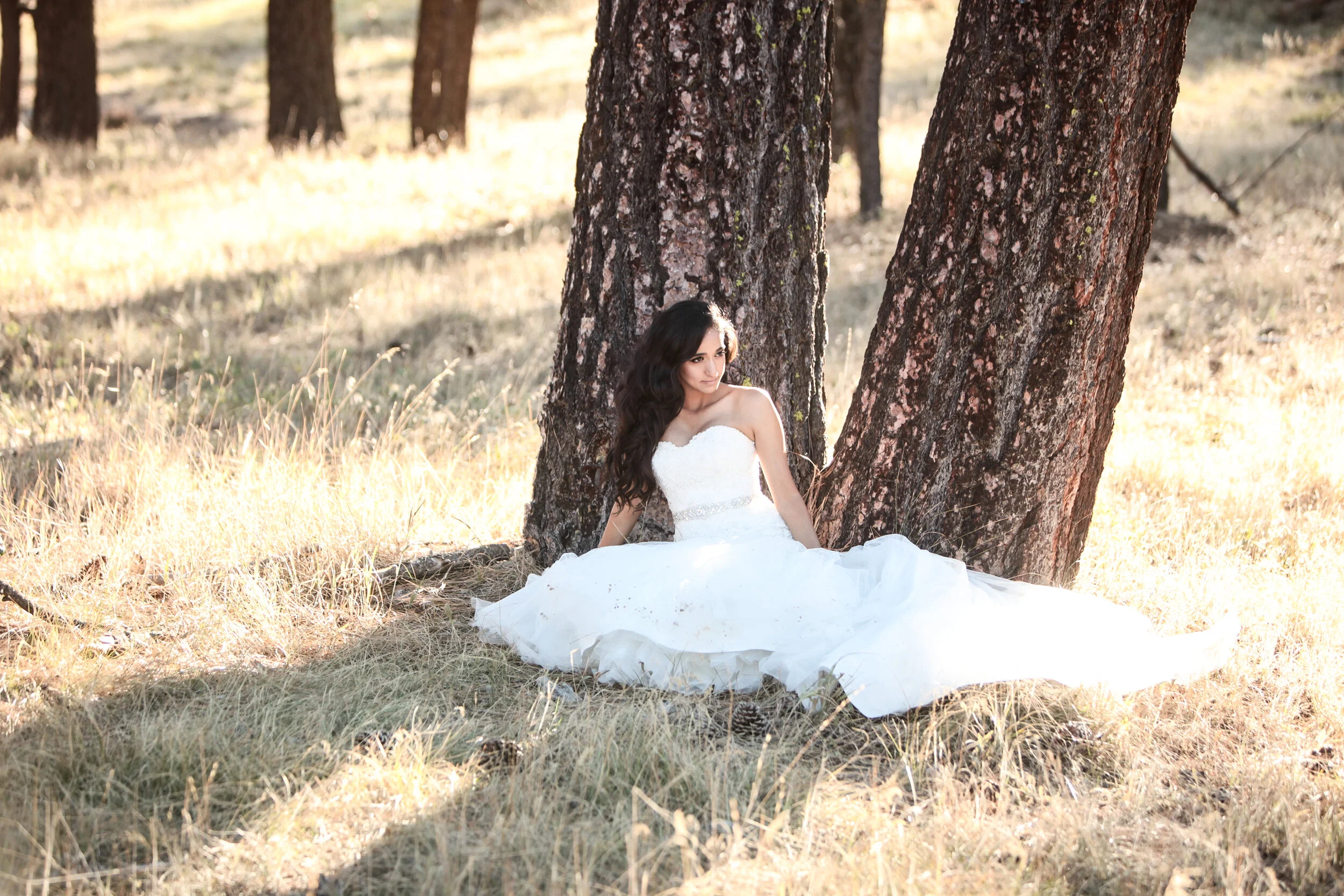 AndyKing_1226 - Copy.JPG