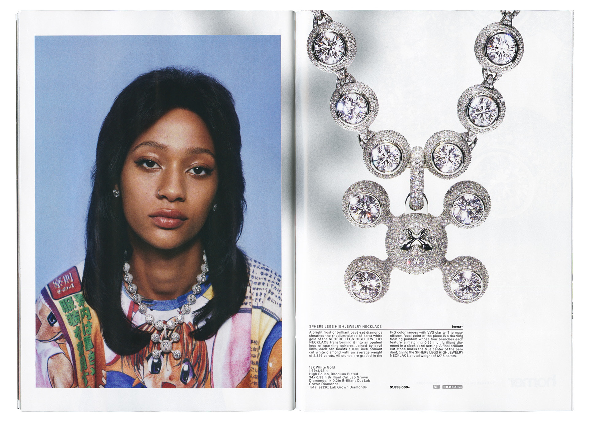 Homer_Catalog_Volume_001-76.png