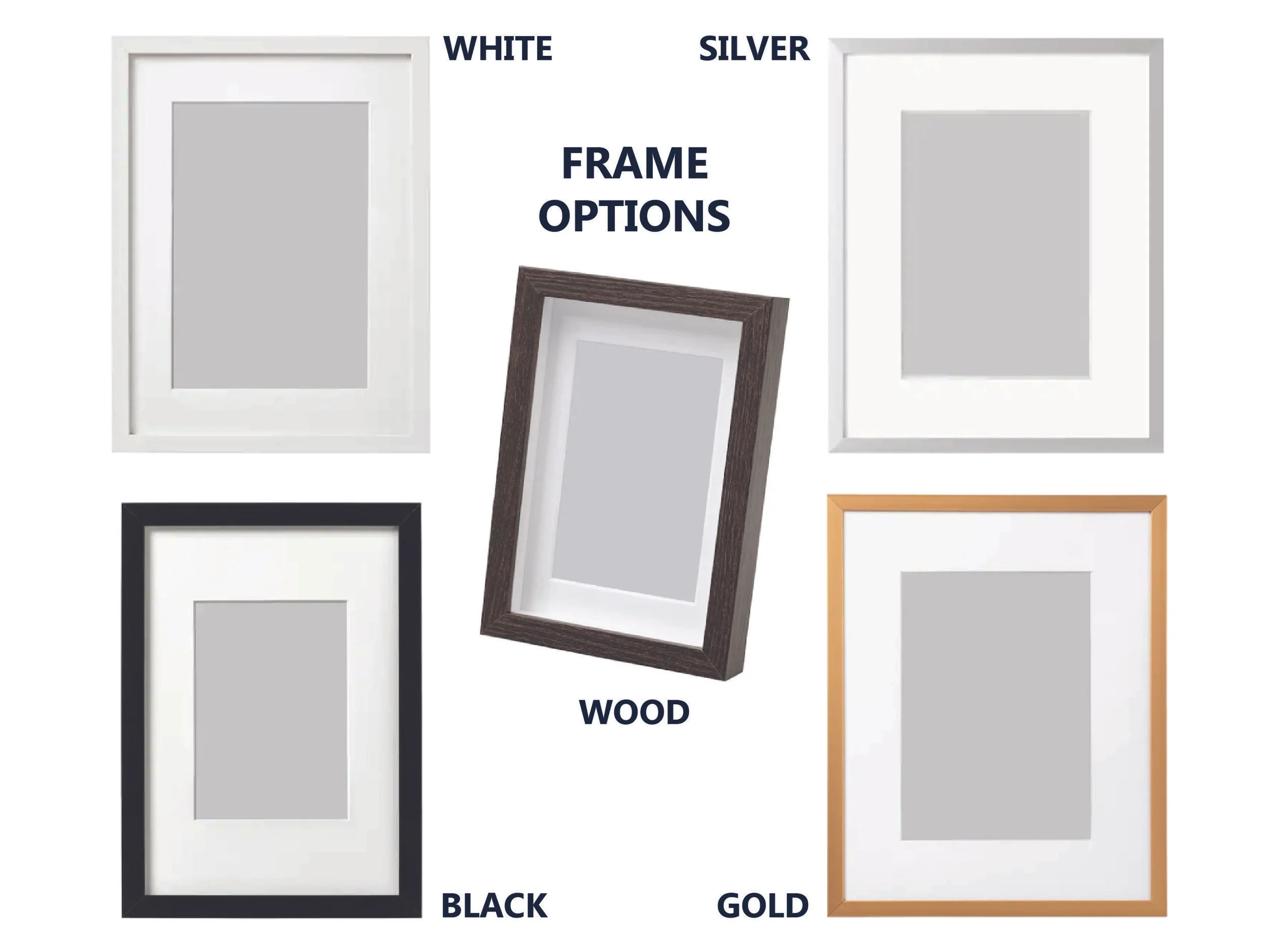 Frame Options.jpg