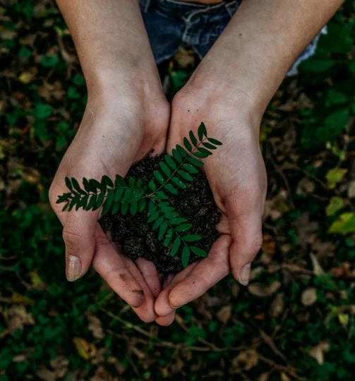 unsplash sustainable.jpg