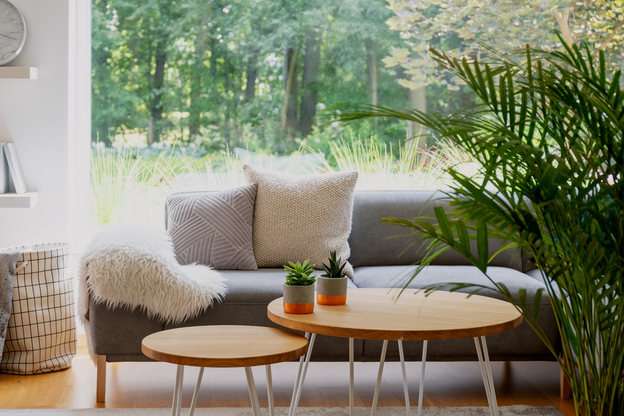 AdobeStock_216160233.jpg