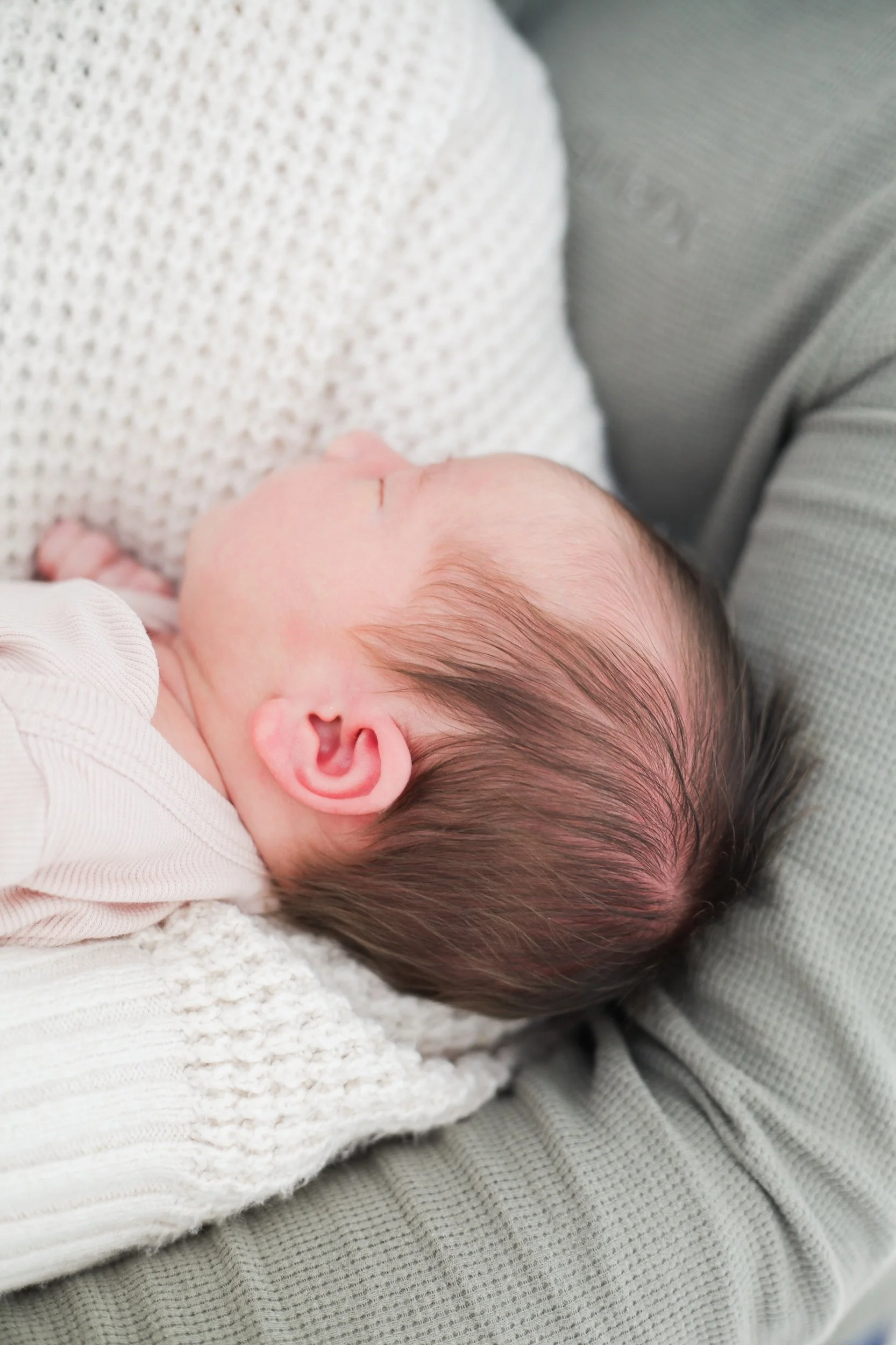 Natural Light Studio Newborn & 6 Months & 1 Year Session Bundle