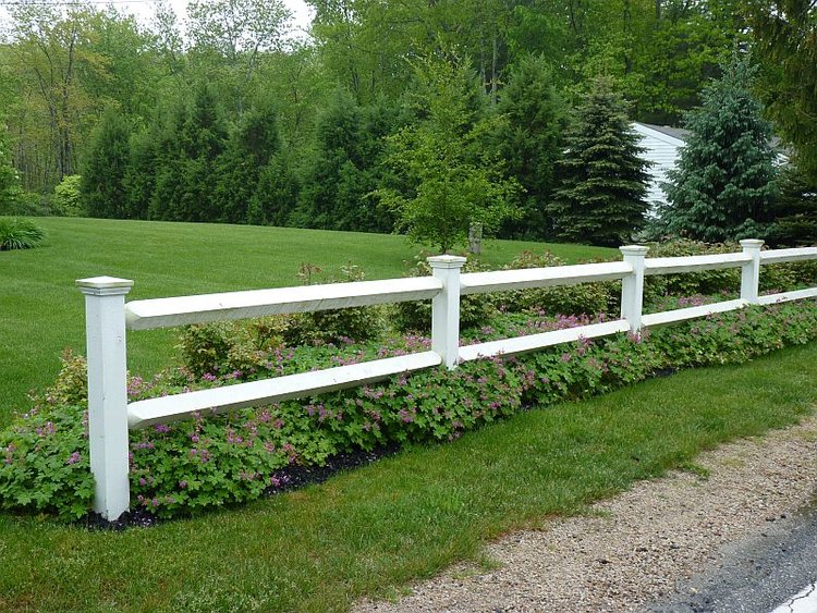 Catal+front+fence+established-600.jpg