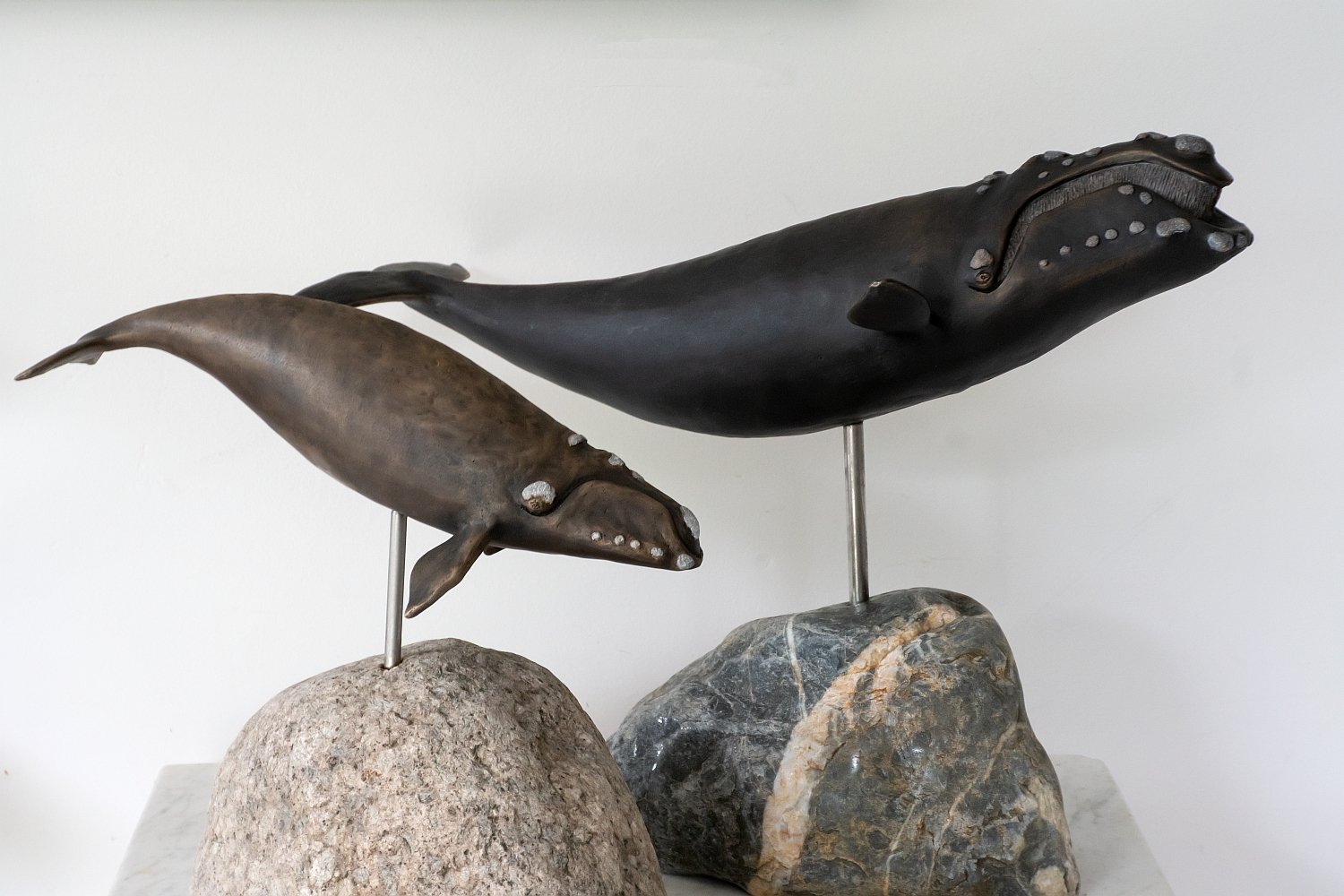 Right Whales, Bronze