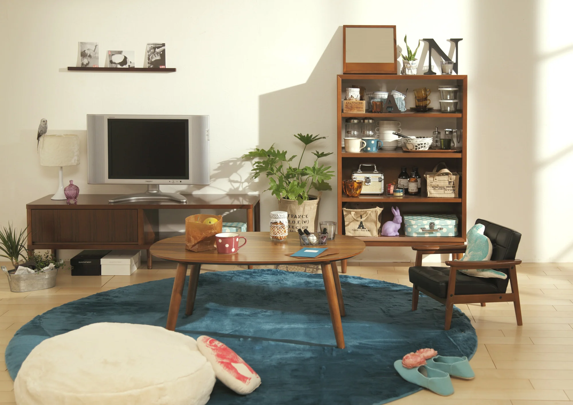 T36330RW_JOU.jpg