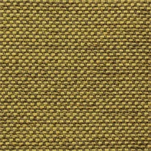 Mustard Yellow