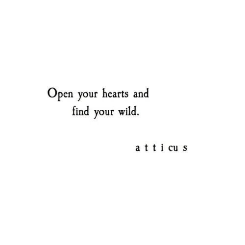 find your wild.jpg