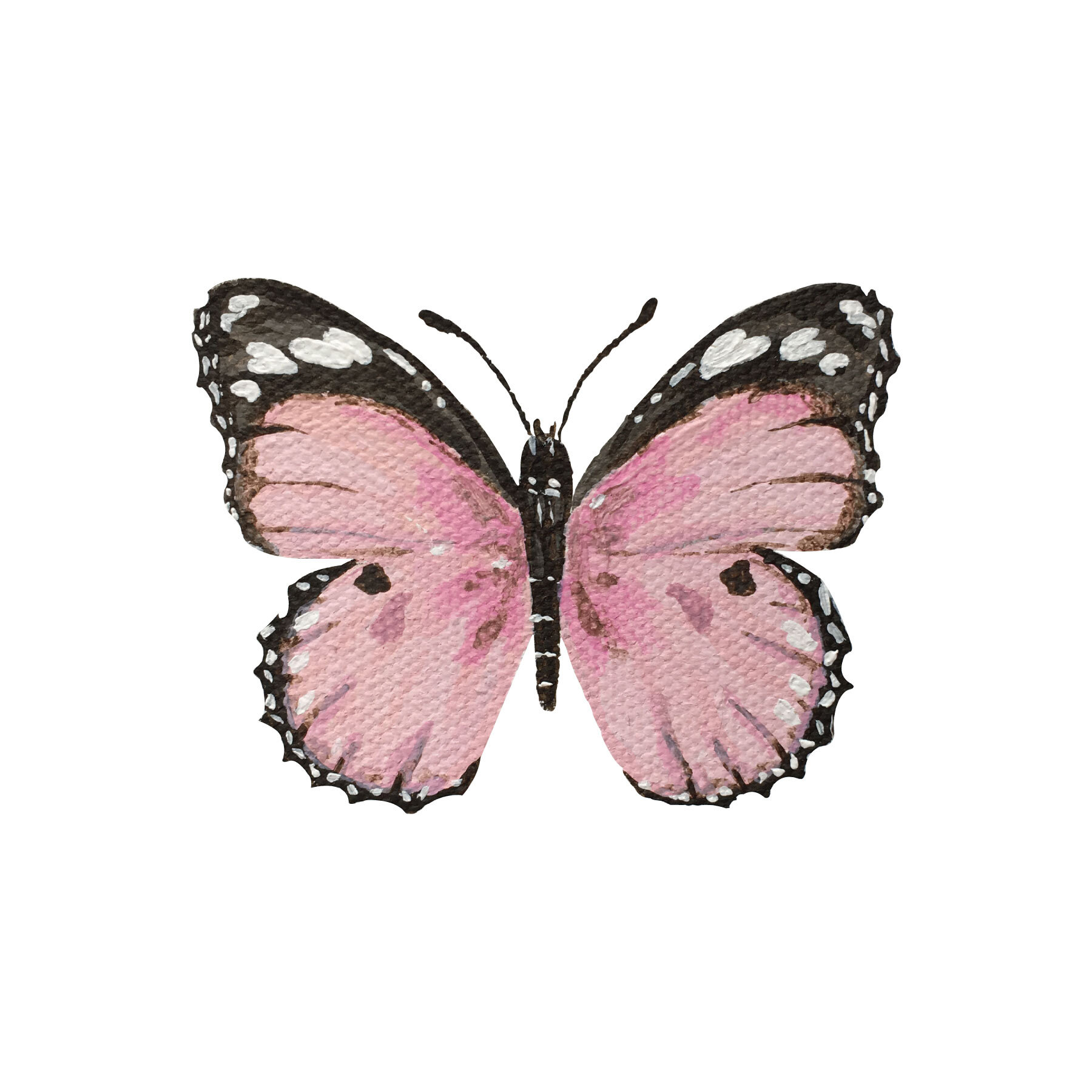 pink.pap2-01.jpg