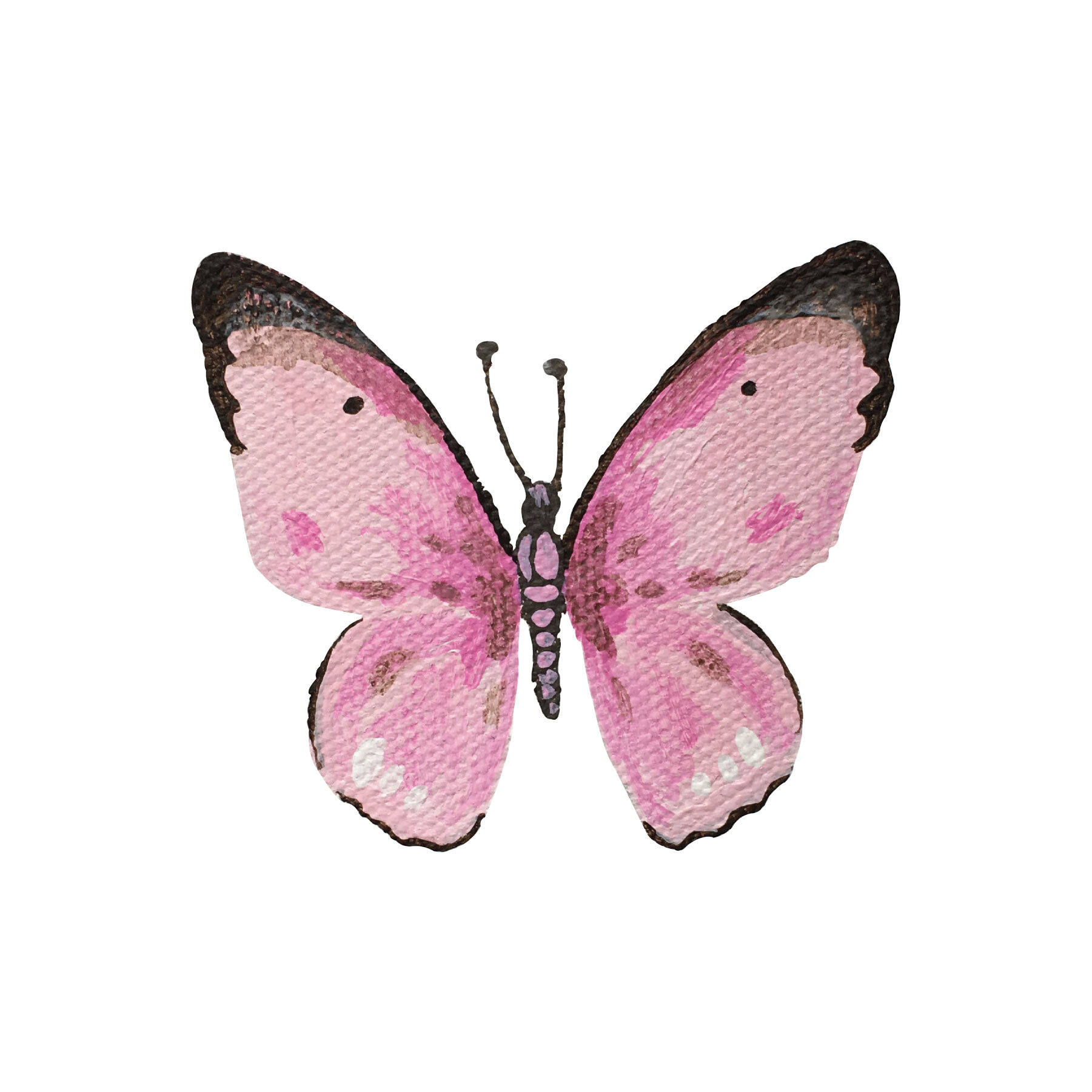 Pink1.pap-01.jpg