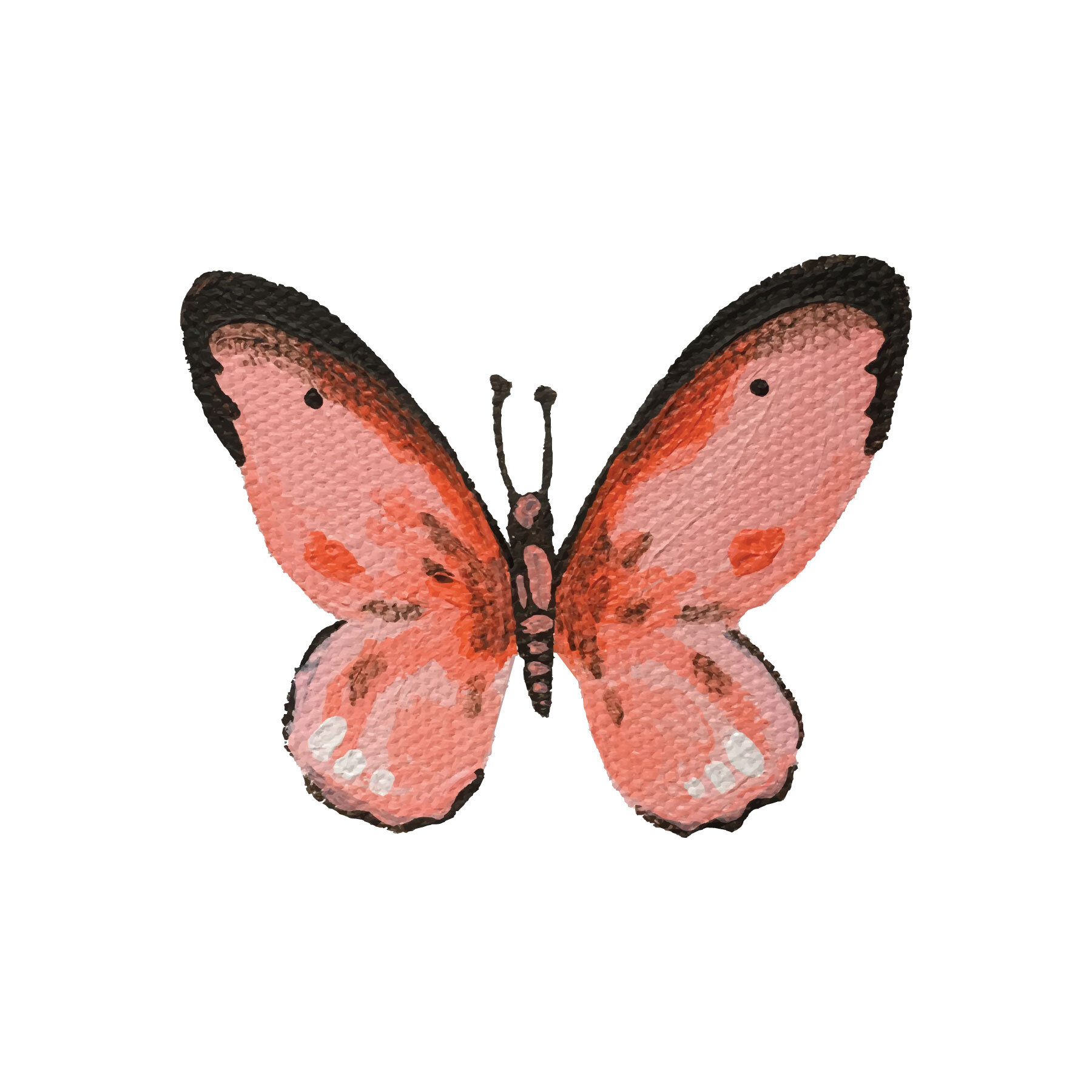 PinkOrange.Pap-01.jpg
