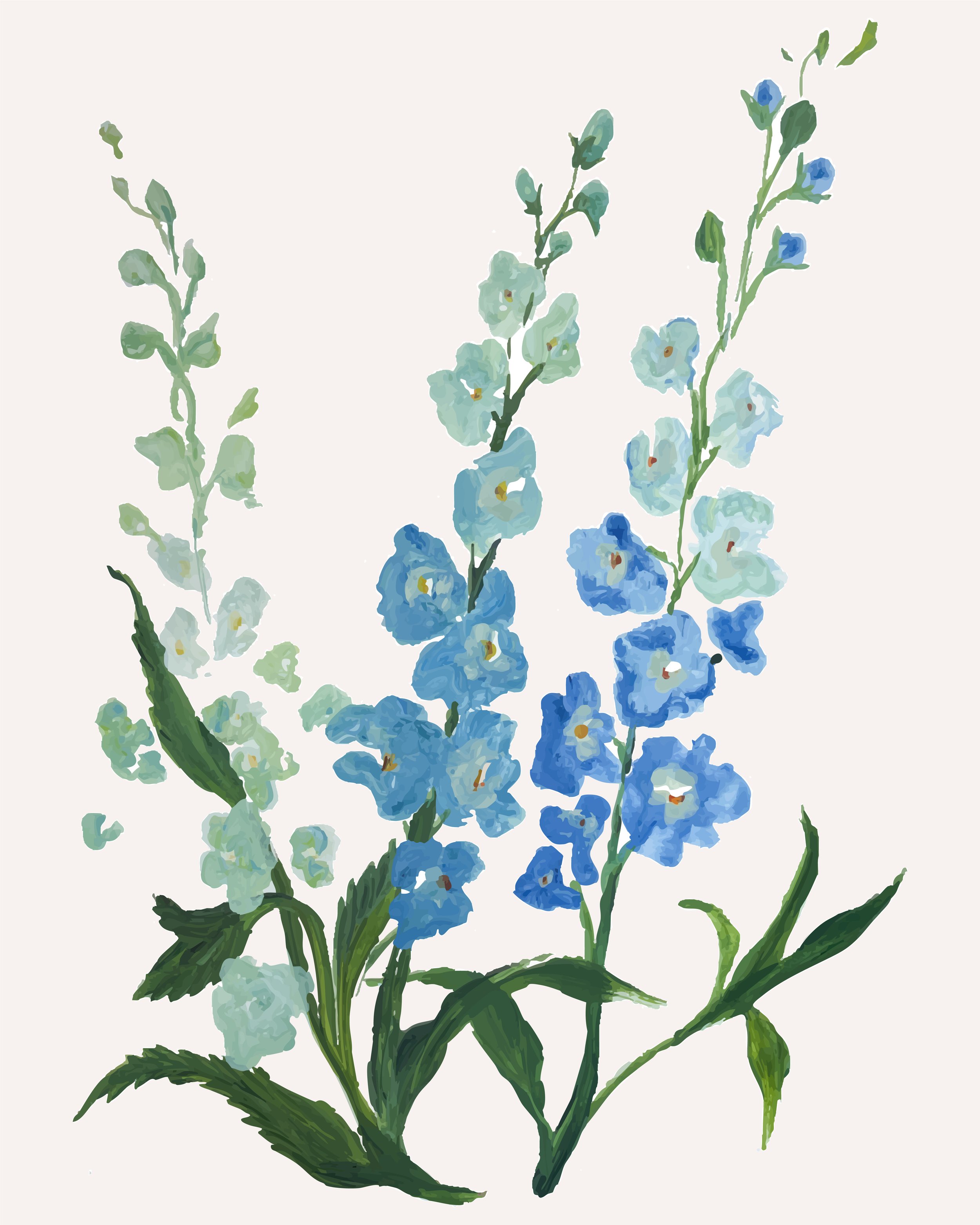Blue Delphinium Botanical Print