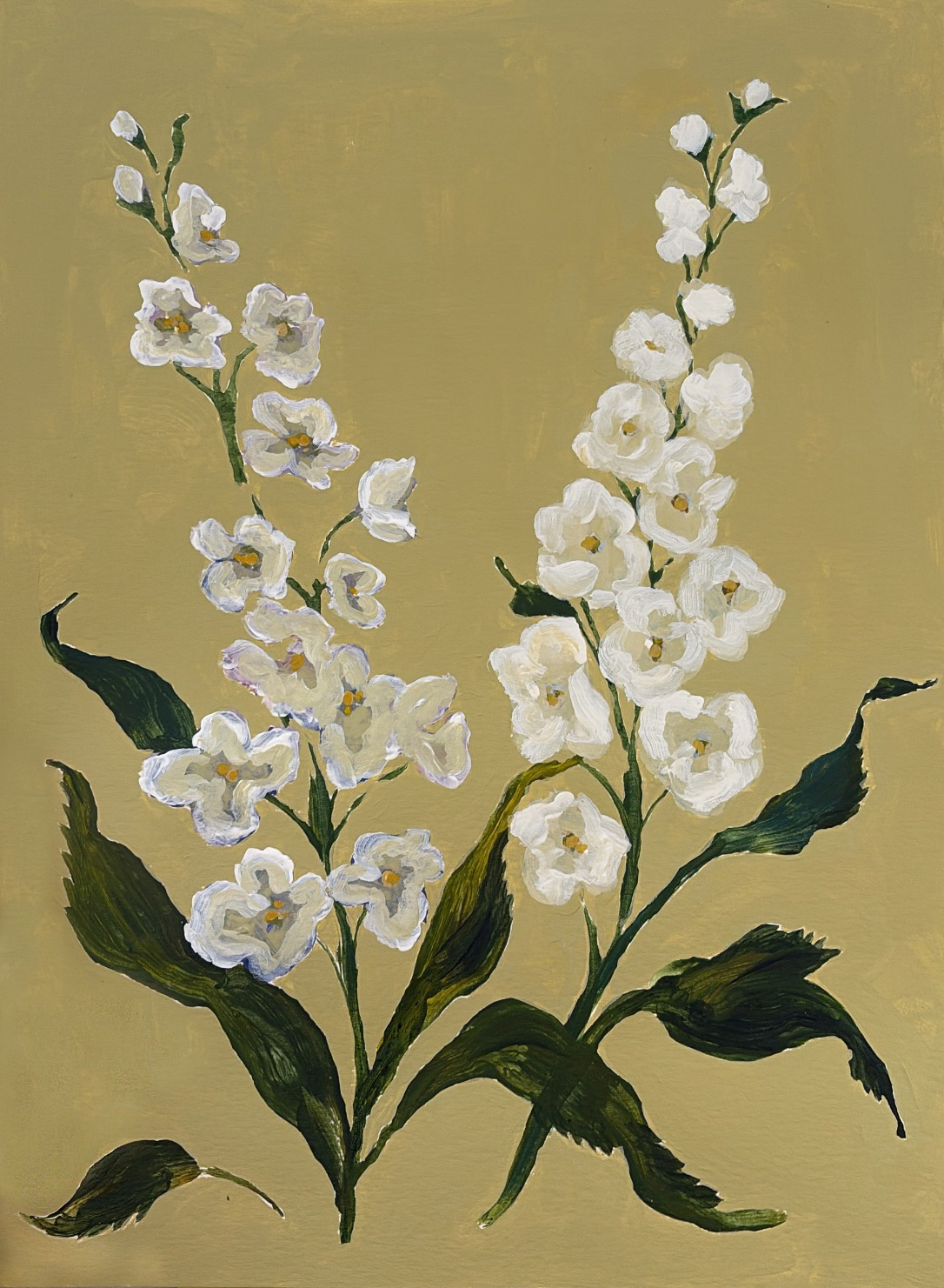 White Delphinium on Pistachio