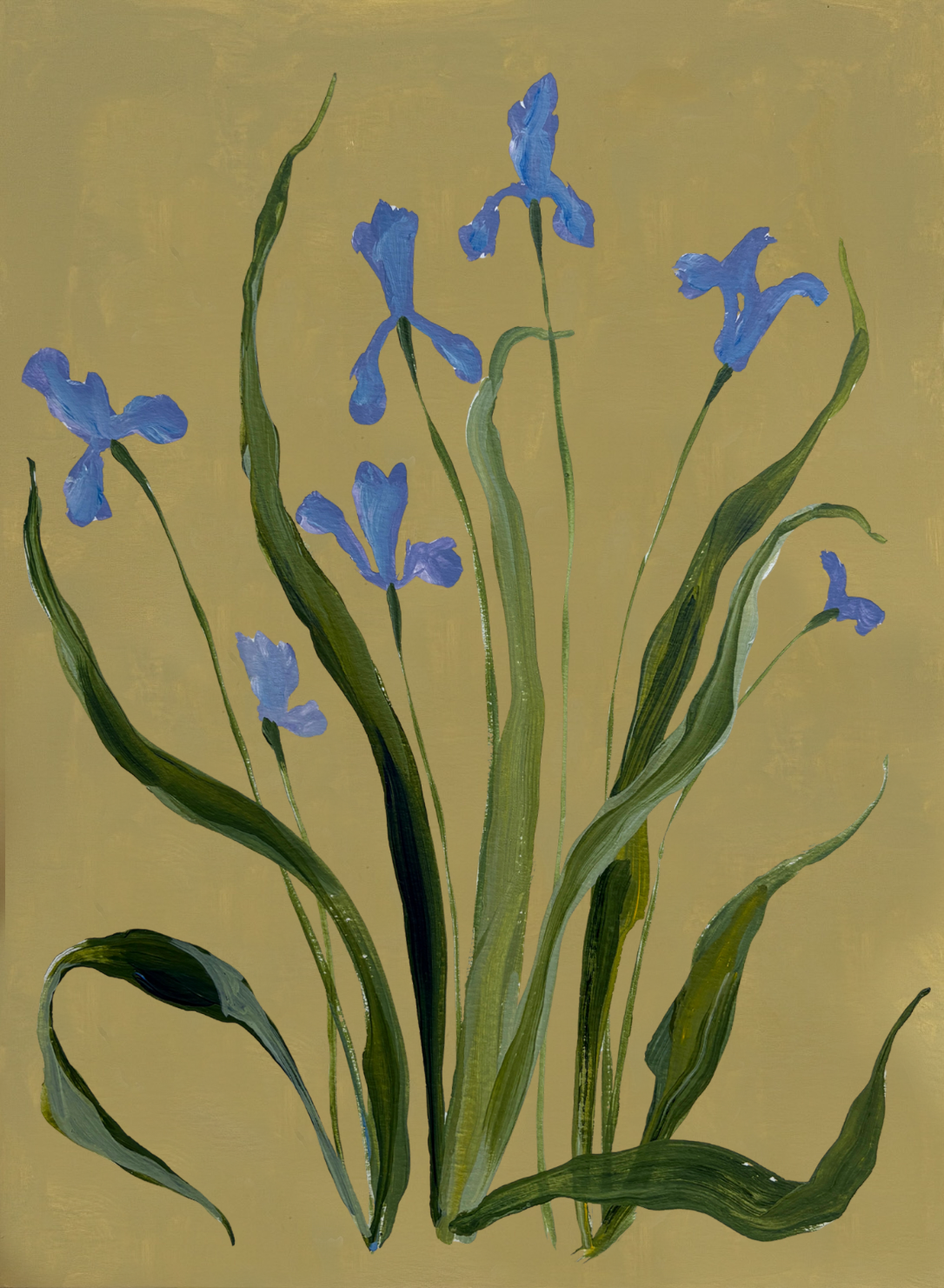 Blue Iris on Pistachio