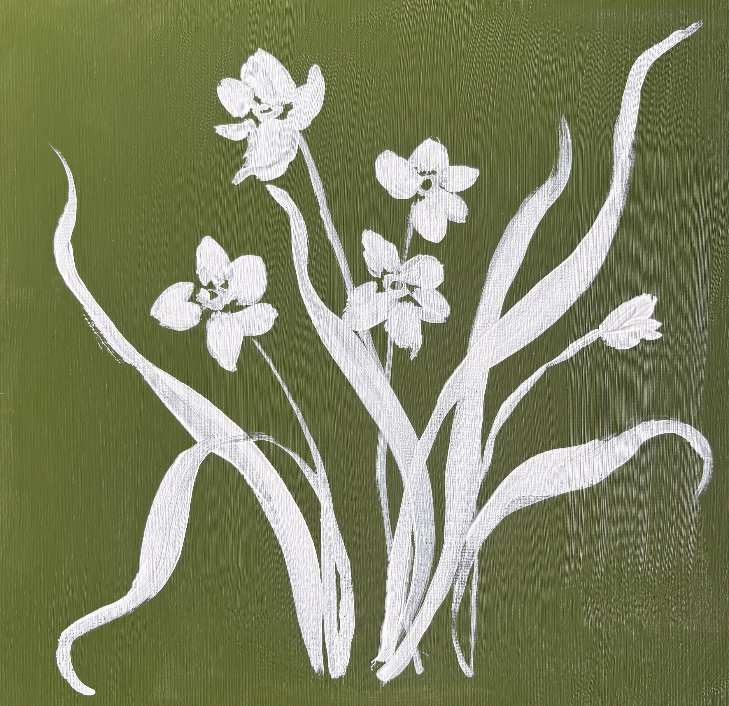 Paperwhite Botanical Print | December