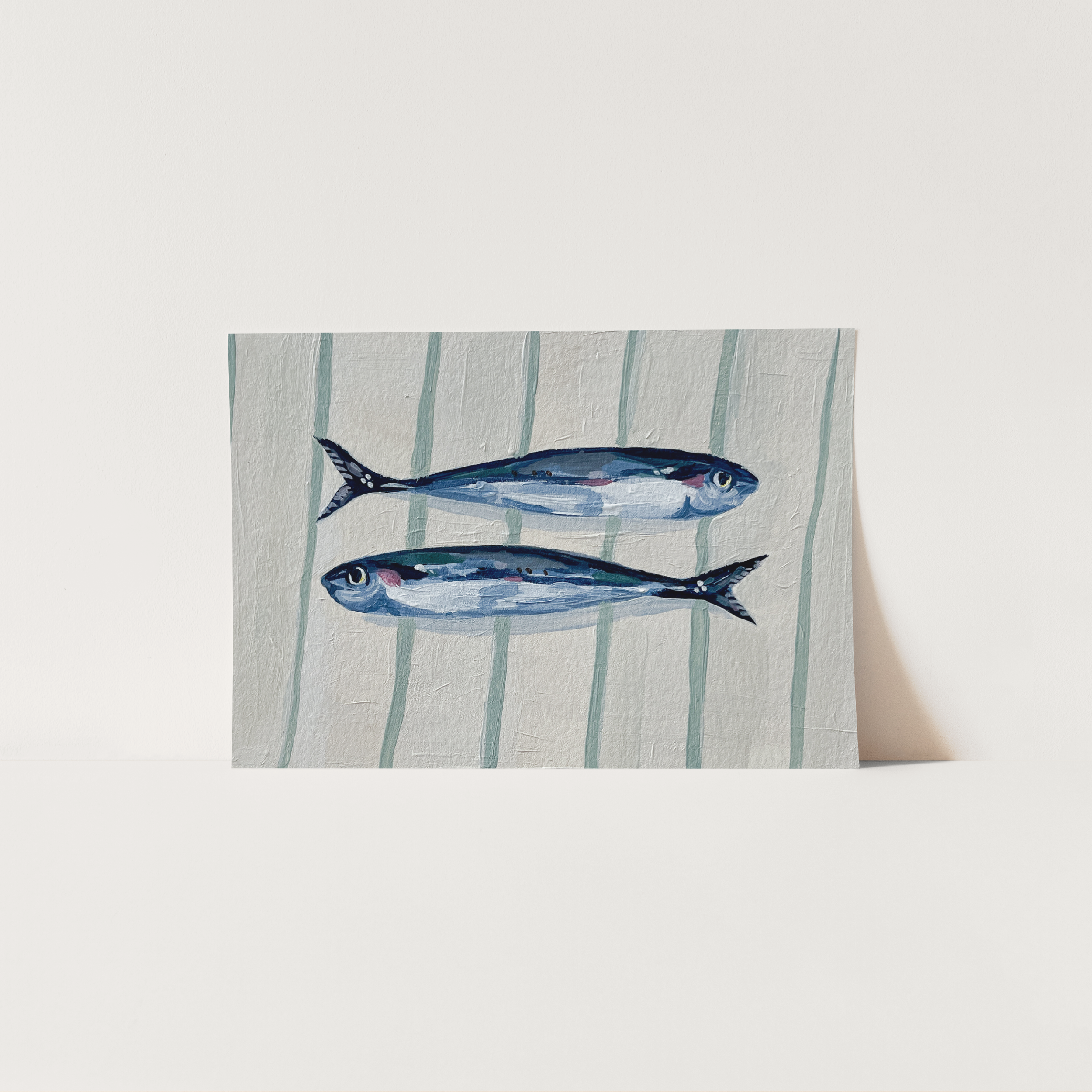Sardine Square 2.png