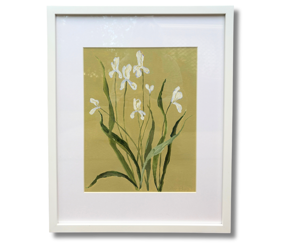 White Iris on Pistachio