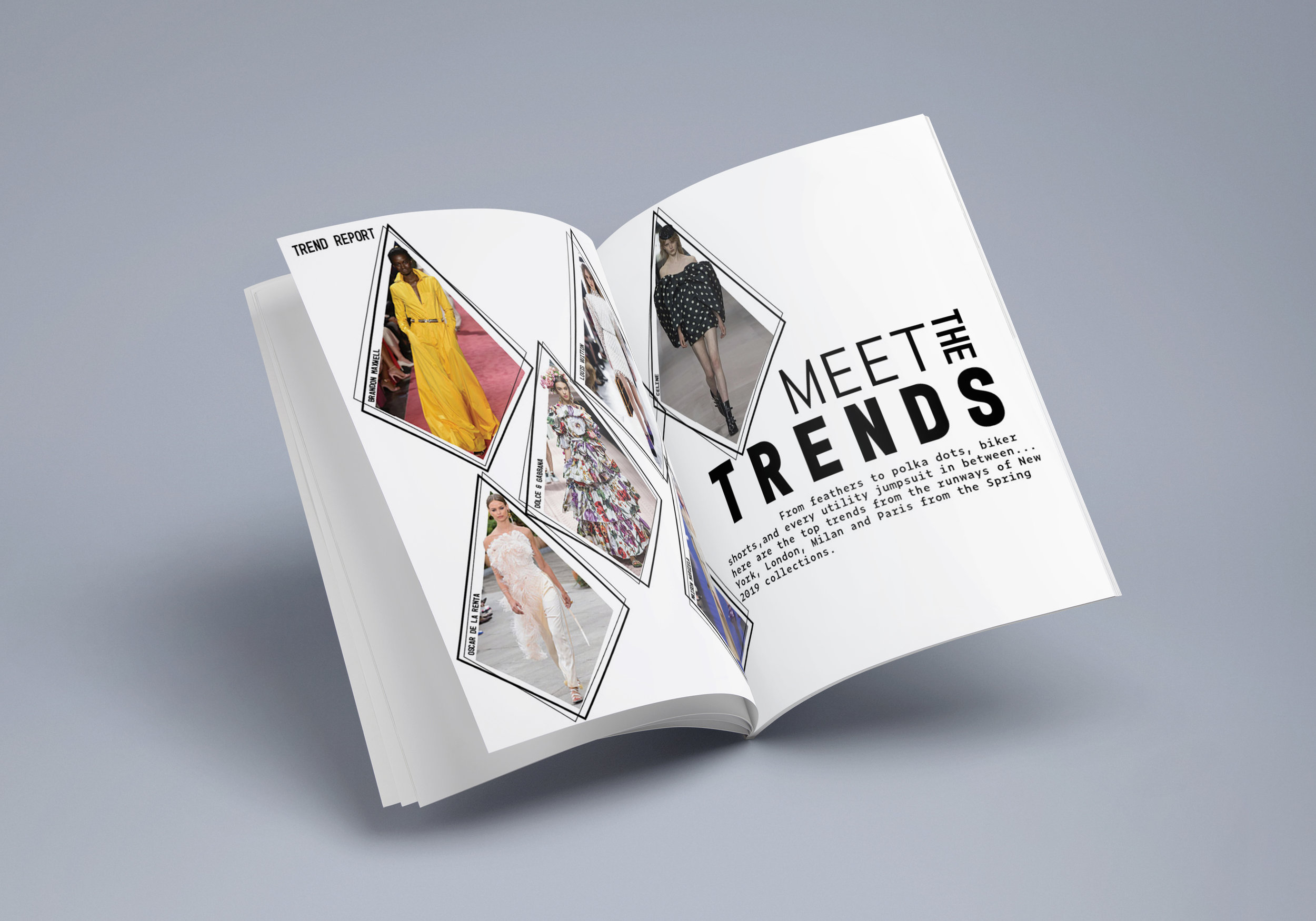 MeetTrendsMagazine-Portfolio.jpg