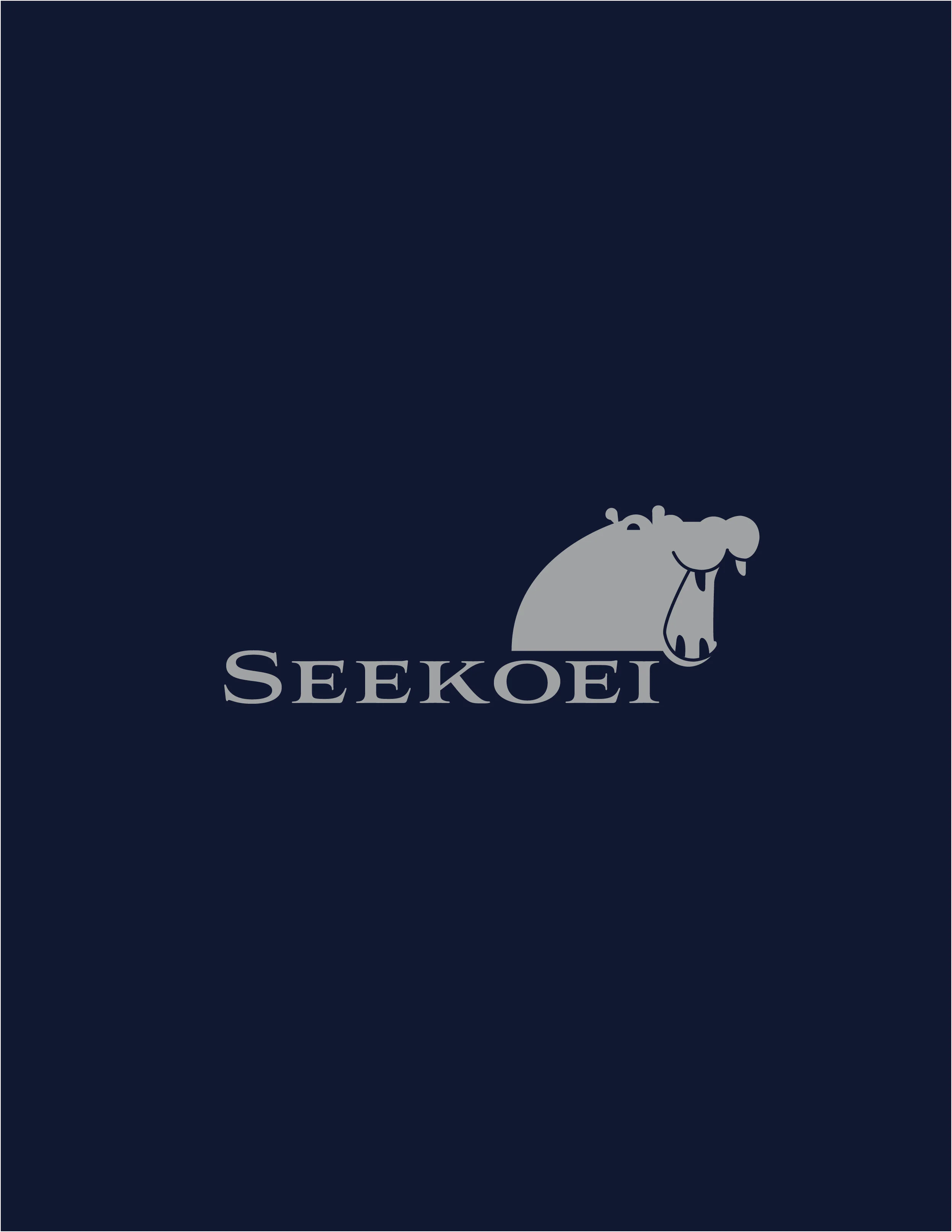 SeekoeiBrandidentity-Portfoliointeractive.jpg