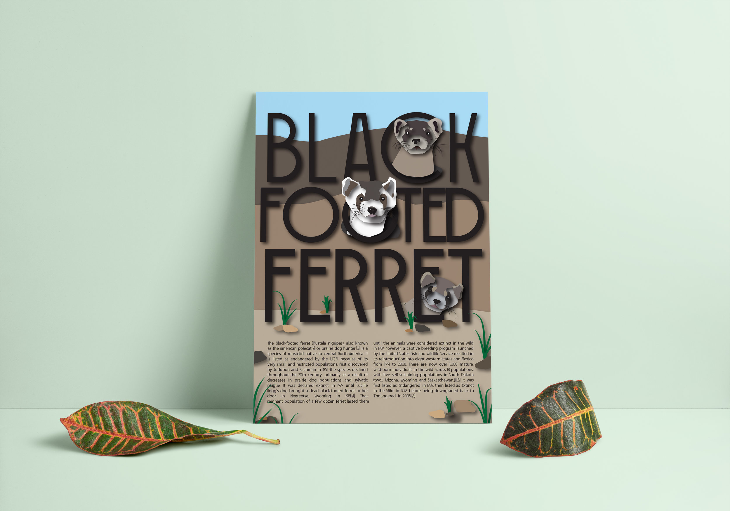 blackfootedferretposterversion2.jpg