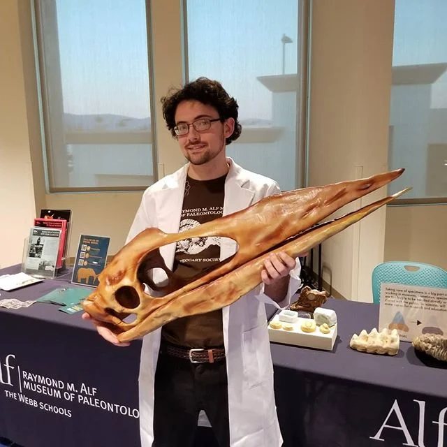 Have you ever seen a life size Pterosaur skull 3D printed? Well you still haven't. Even though this skull is 3 feet long the actual size of the skull is much much bigger!

I printed and and painted this for @cosplayforscience to use in showing kids t