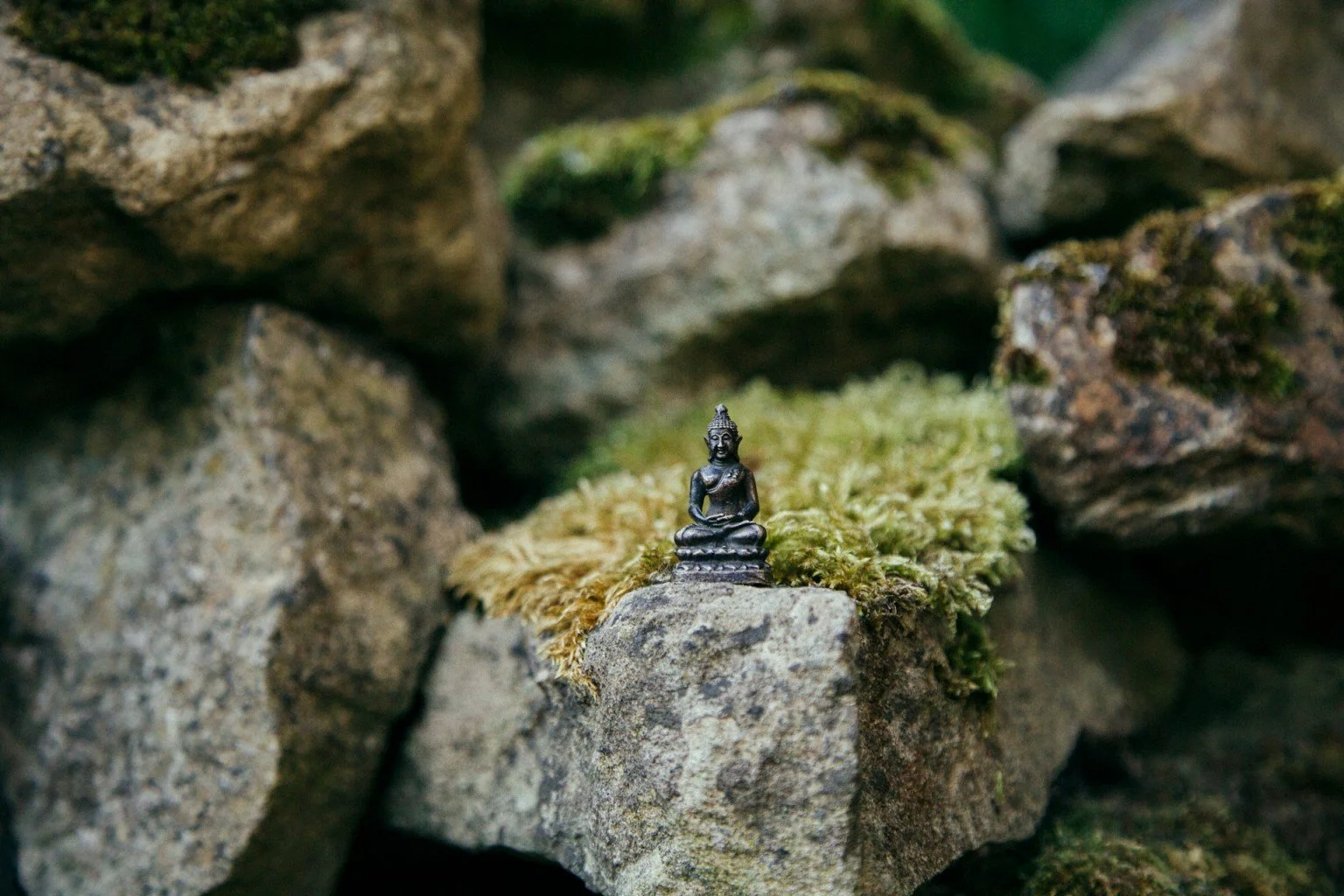 Zen meditaation johdantokurssi Oulussa 18.1. &amp; 25.1.2025