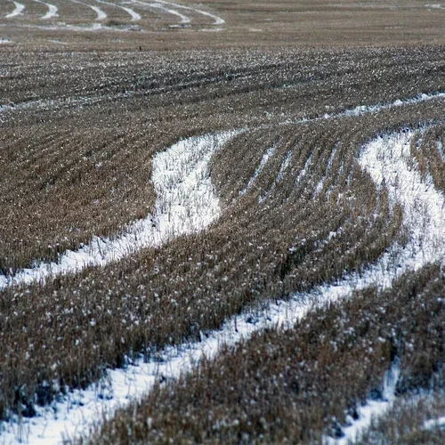 Lammi, Maaliskuun sesshin, Opettajina Karen Terzano &amp; Ismo Puhakka