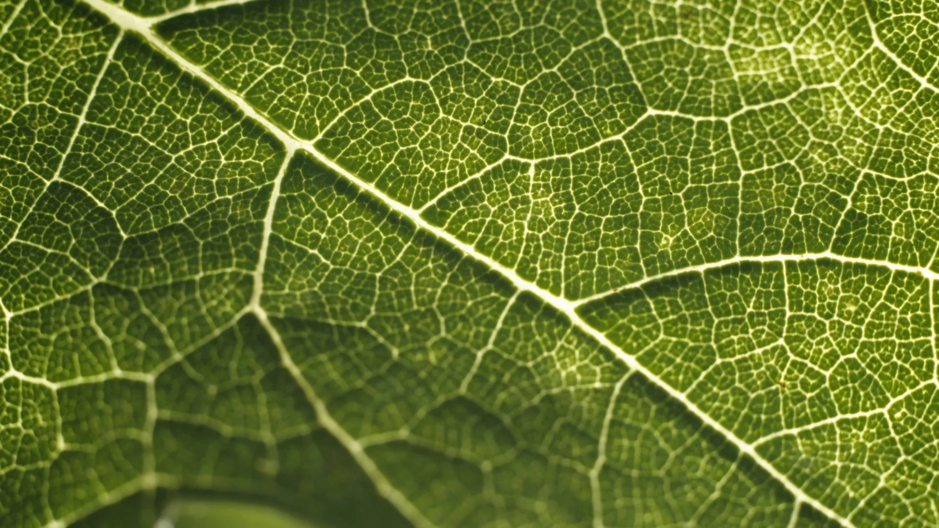 Still 2026-04-11 133053_1.1.3.jpg