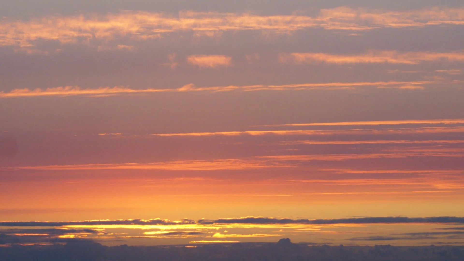 Still 2026-04-11 133053_1.2.2.jpg