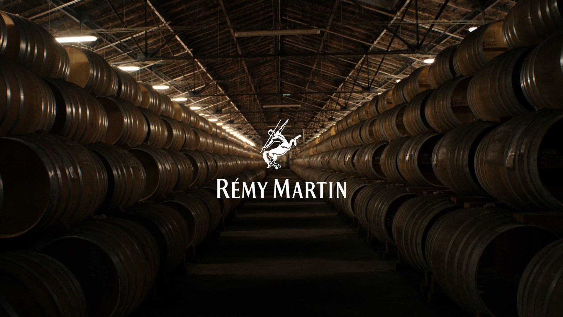 Still 2026-04-11 133053_1.3.1.jpg