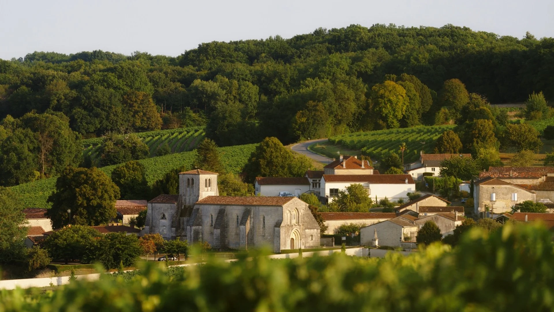 Still 2026-04-11 133053_1.4.1.jpg