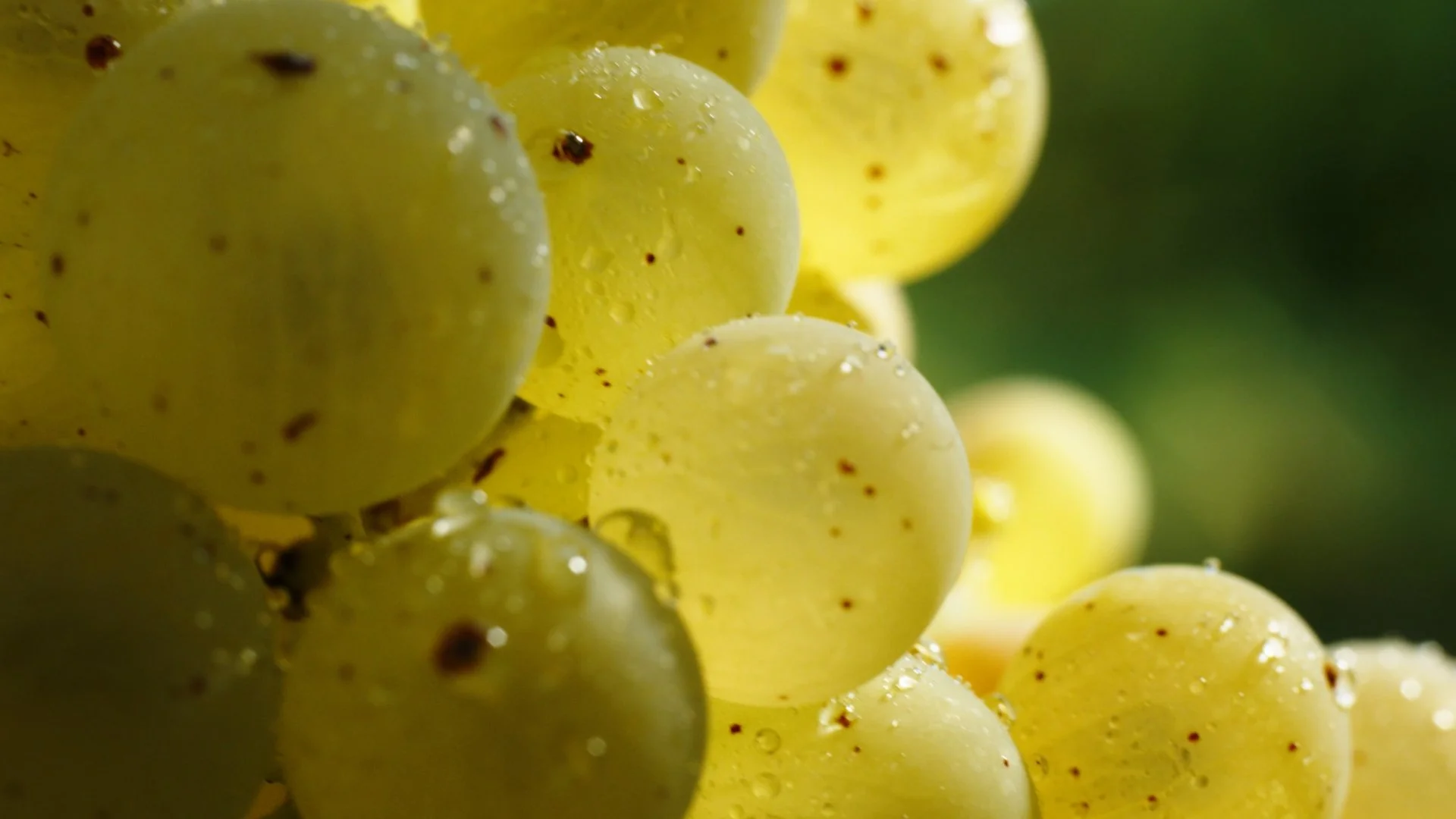 Still 2026-04-11 135354_1.6.10.jpg