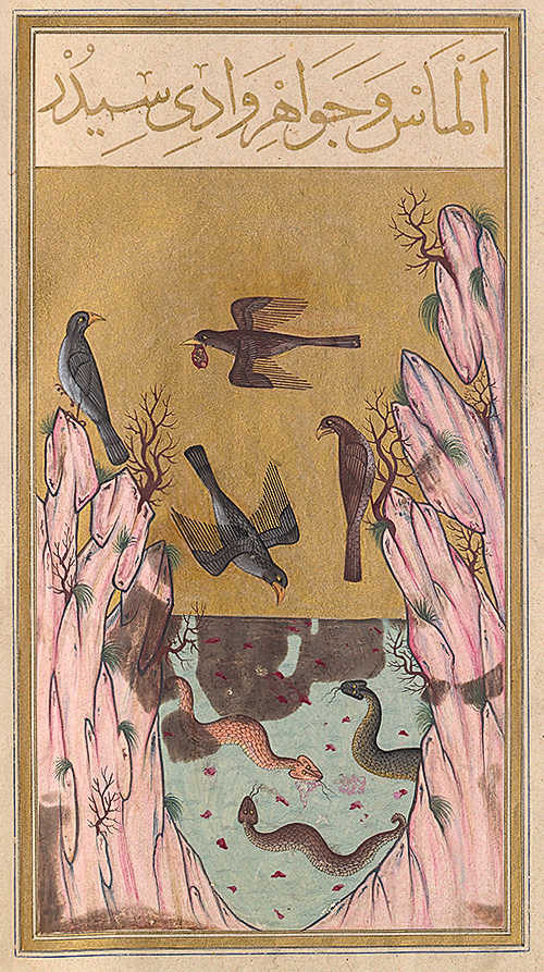 An Oriental miniature dated 1582, representing the Valley of Serpents, guarded by snakes. Eagles carry in their beaks pieces of meat in which gems are embedded, illustrating an Indian legend that appears in the tale of Sinbad the Sailor in the Thousand and One Arabian Nights. Illustration courtesy of the Bibliothèque Nationale, Paris. Source: http://www.lotusgemology.com/index.php/library/articles/286-pigeon-s-blood-a-pilgrimage-to-mogok-valley-of-rubies