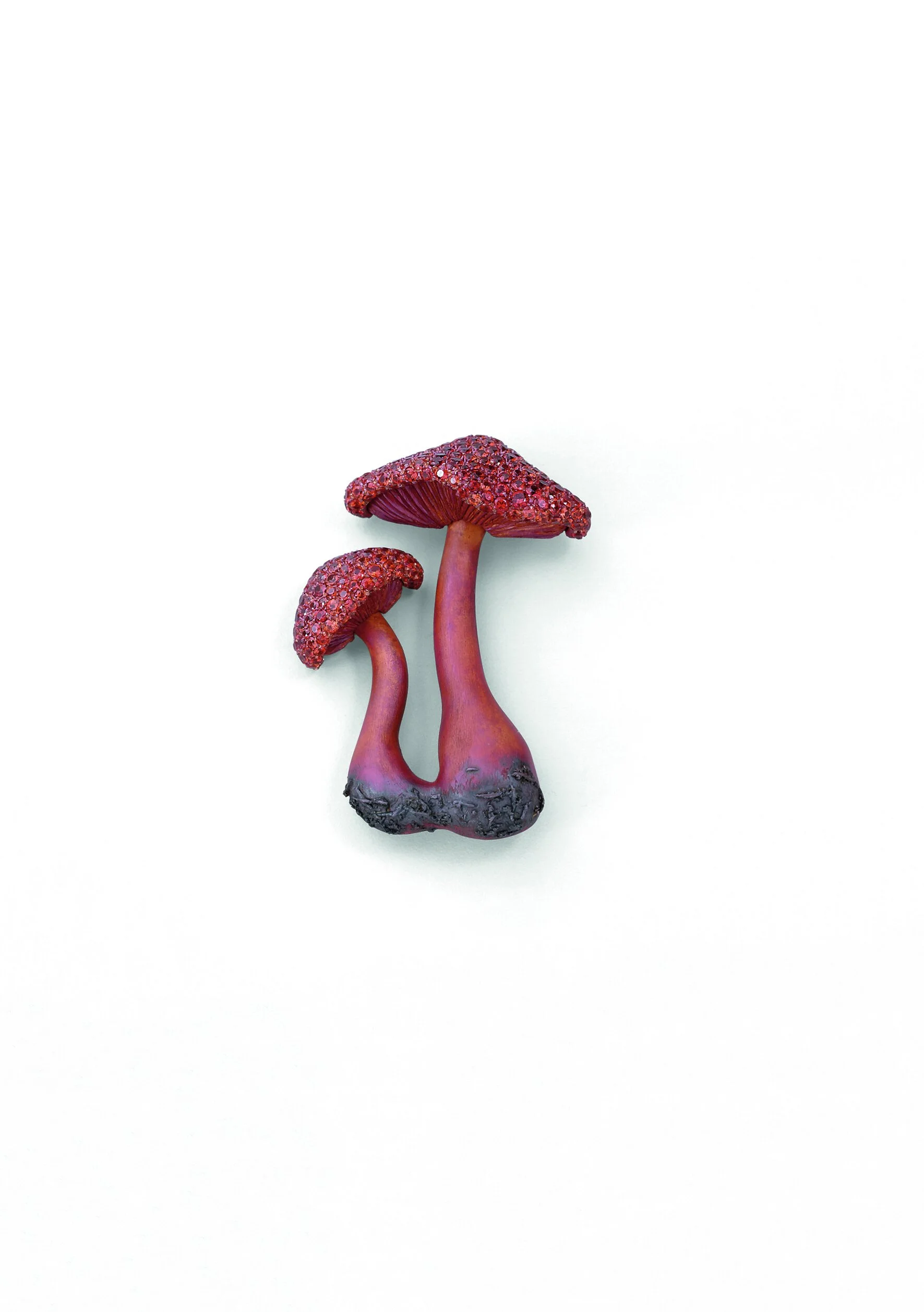 0187_05_Pilz.jpg