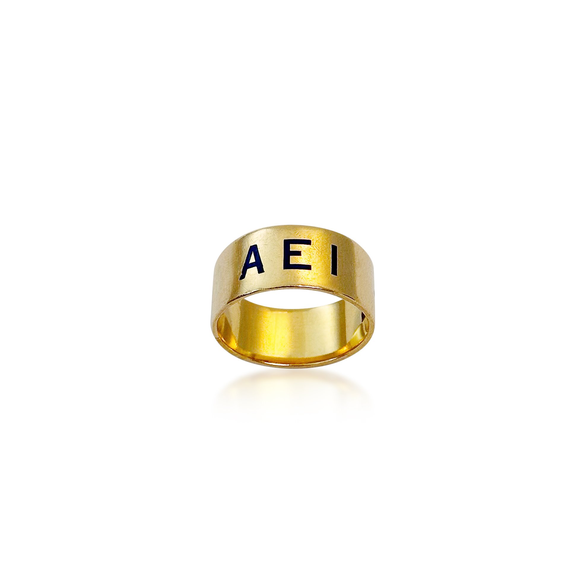 RI254:250305 A Victorian Enamel and Gold Ring.jpg